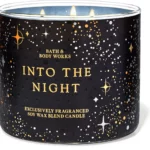 Bath & Body Works Into The Night Candle